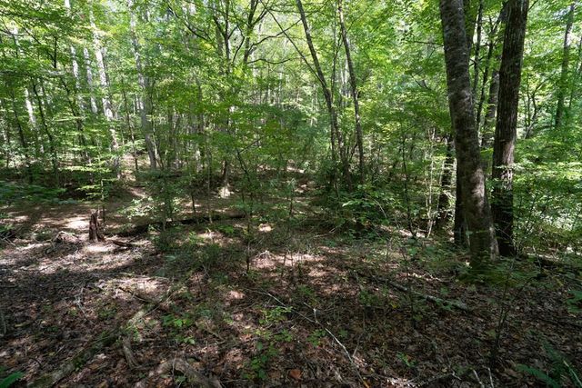 26.98 Ac Tusquittee, Hayesville, NC 28904