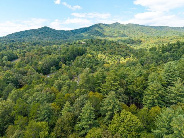 26.98 Ac Tusquittee, Hayesville, NC 28904