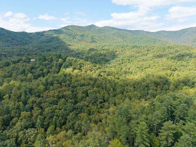 26.98 Ac Tusquittee, Hayesville, NC 28904