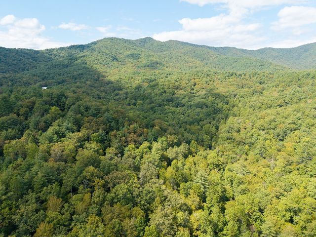 26.98 Ac Tusquittee, Hayesville, NC 28904