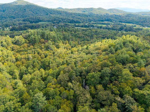 26.98 Ac Tusquittee, Hayesville, NC 28904