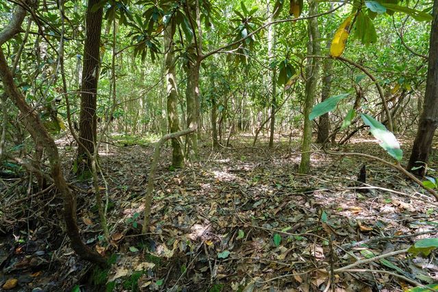 26.98 Ac Tusquittee, Hayesville, NC 28904
