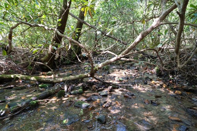 26.98 Ac Tusquittee, Hayesville, NC 28904
