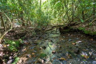 26.98 Ac Tusquittee, Hayesville, NC 28904