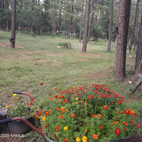 1103 E Ranch Road, Payson, AZ 85541