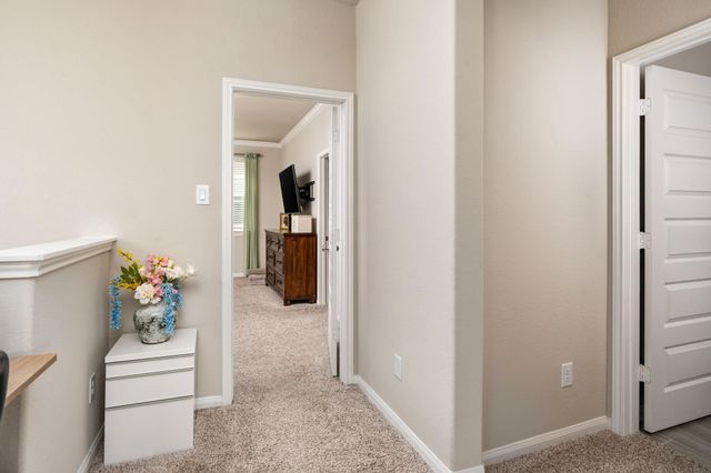 9810 Falling Fern Lane, Houston, TX 77080