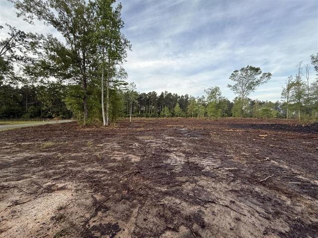 0 Hwy 110, Longville, LA 70652