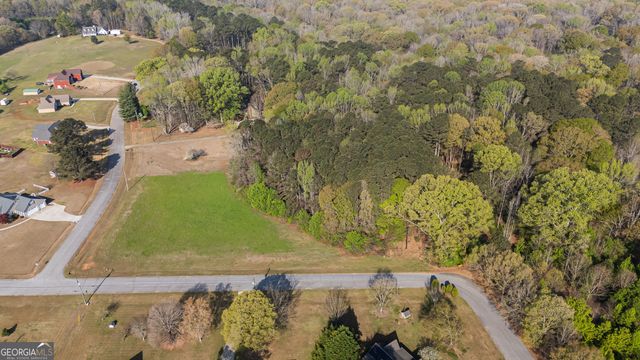 0 Bear Creek Trail, Hampton, GA 30228