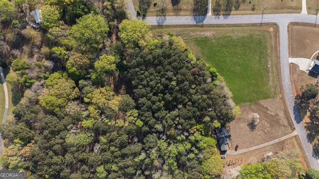 0 Bear Creek Trail, Hampton, GA 30228