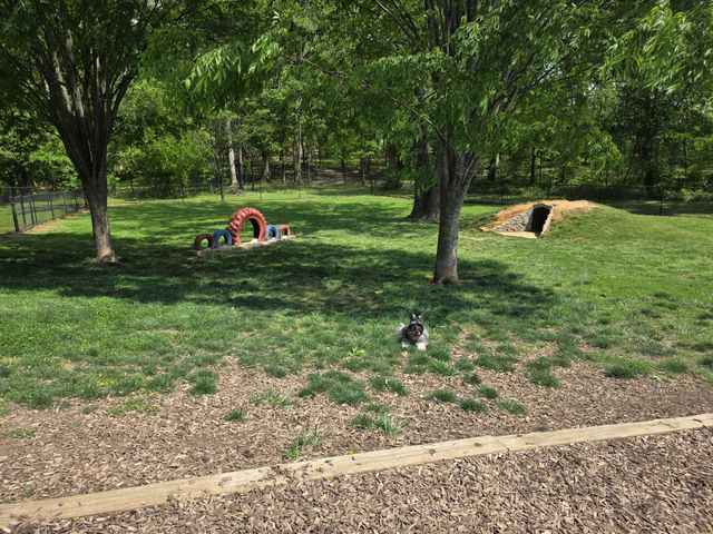 369 Springbrook Blvd, White House, TN 37188