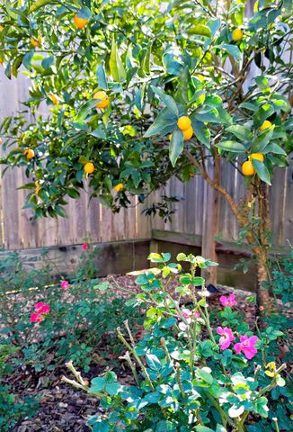 5951 South Loop E 47, Houston, TX 77033