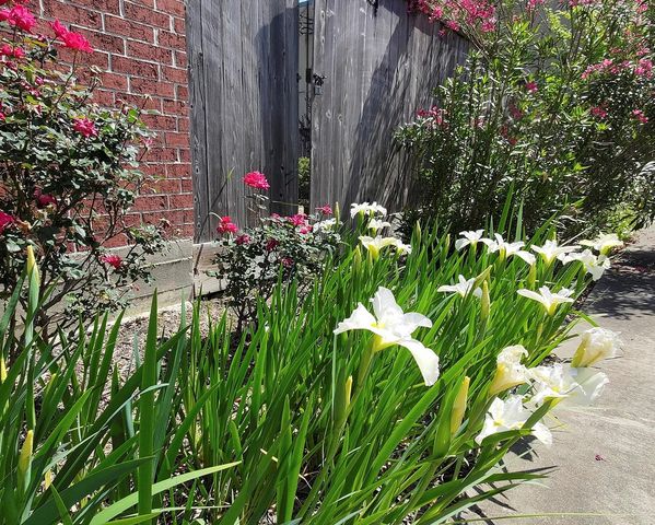 5951 South Loop E 47, Houston, TX 77033