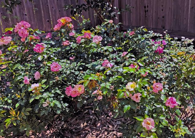 5951 South Loop E 47, Houston, TX 77033