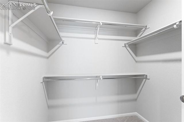 9290 Tungsten Heights, Colorado Springs, CO 80927