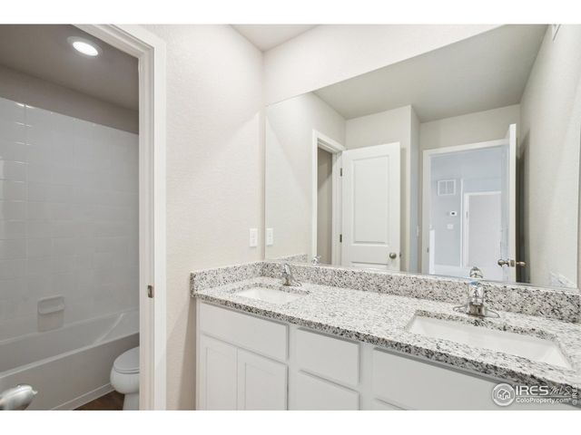 966 Cascade Falls St, Severance, CO 80550