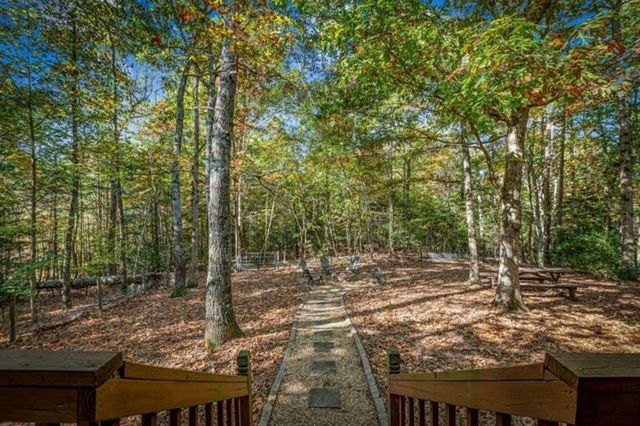 196 Ethan Wilson Way, Morganton, GA 30560