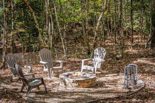196 Ethan Wilson Way, Morganton, GA 30560