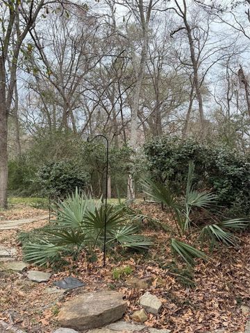 3900 Aspen Drive 1, Montgomery, TX 77356