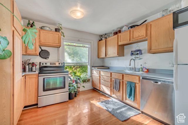 355 S 300 E, Provo, UT 84606