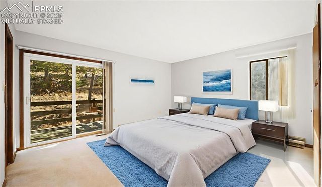 2558 County Road 28, Woodland Park, CO 80863