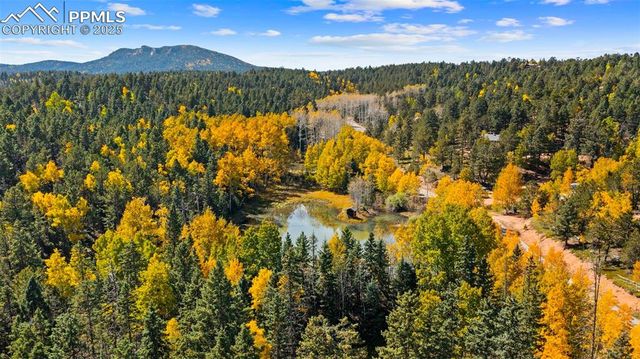 2558 County Road 28, Woodland Park, CO 80863