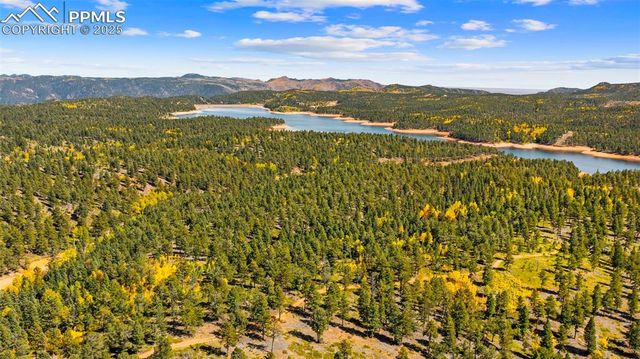 2558 County Road 28, Woodland Park, CO 80863