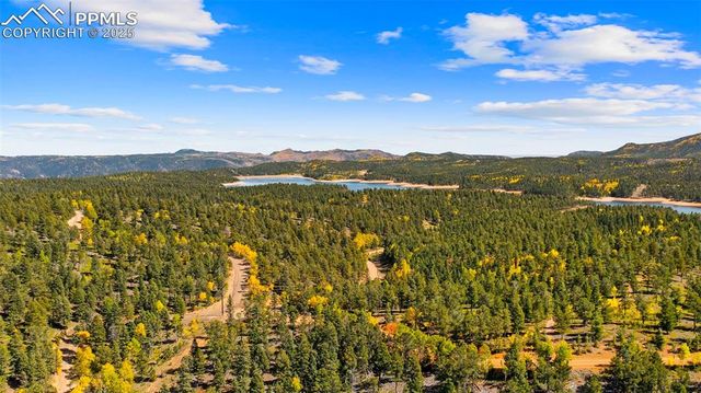 2558 County Road 28, Woodland Park, CO 80863