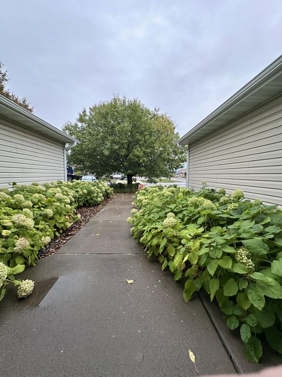 371 Phyllis Street, Big Lake, MN 55309 — photo 3
