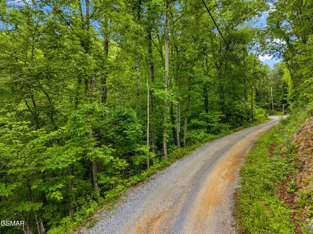 Lot 11AE Red Bone Way, Sevierville, TN 37876