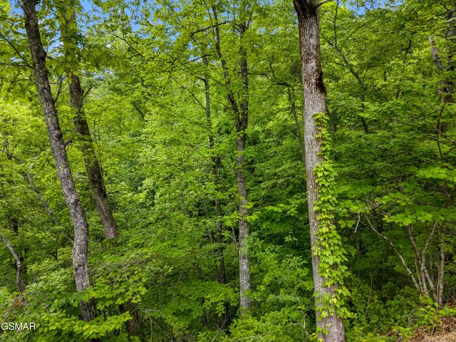 Lot 11AE Red Bone Way, Sevierville, TN 37876