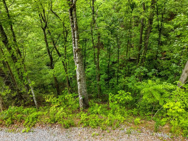 Lot 11AE Red Bone Way, Sevierville, TN 37876