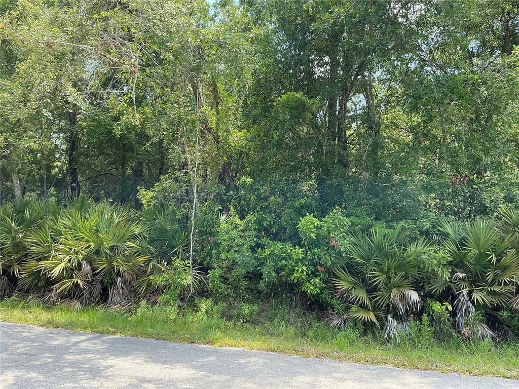 Lot 14 NW 118TH TER, Ocala, FL 34482