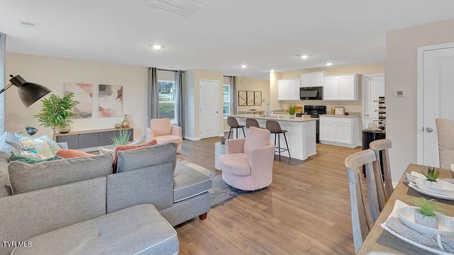352 Chimney View Loop, Blountville, TN 37617