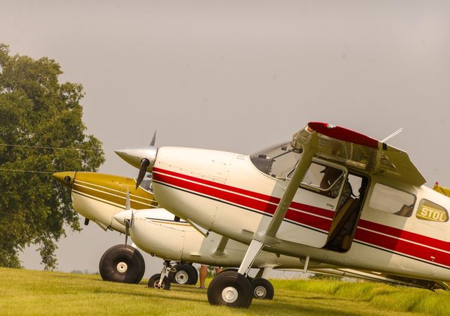 Lot 14 Pr 5832, Donie, TX 75838