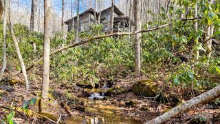 63 Speckled Feather Pass, Sapphire, NC 28774