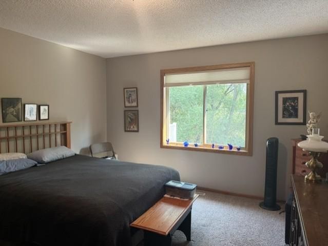 14361 Hummingbird Street NW, Andover, MN 55304