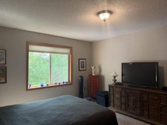 14361 Hummingbird Street NW, Andover, MN 55304