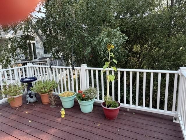 14361 Hummingbird Street NW, Andover, MN 55304