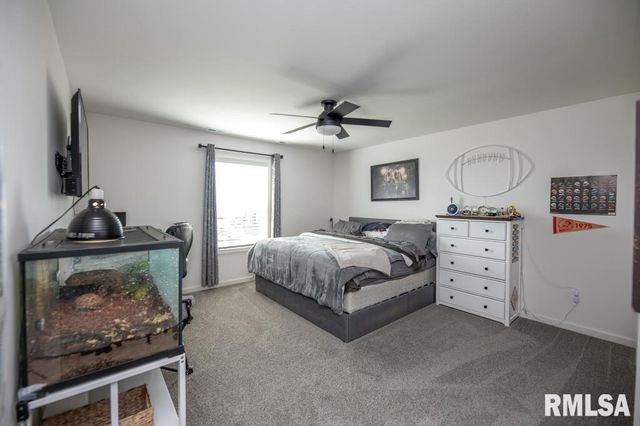 4010 W Fiona Way, Dunlap, IL 61525