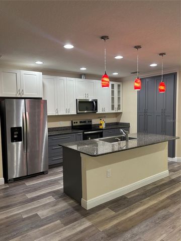 1159 MACFARLANE AVENUE, Spring Hill, FL 34608