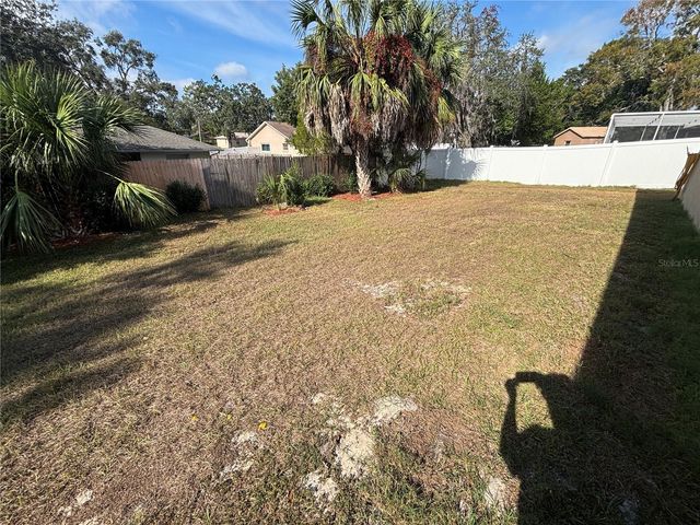 1159 MACFARLANE AVENUE, Spring Hill, FL 34608