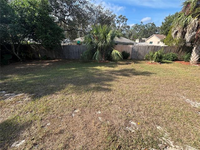 1159 MACFARLANE AVENUE, Spring Hill, FL 34608