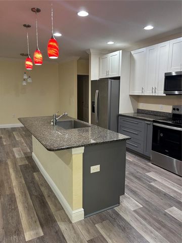 1159 MACFARLANE AVENUE, Spring Hill, FL 34608