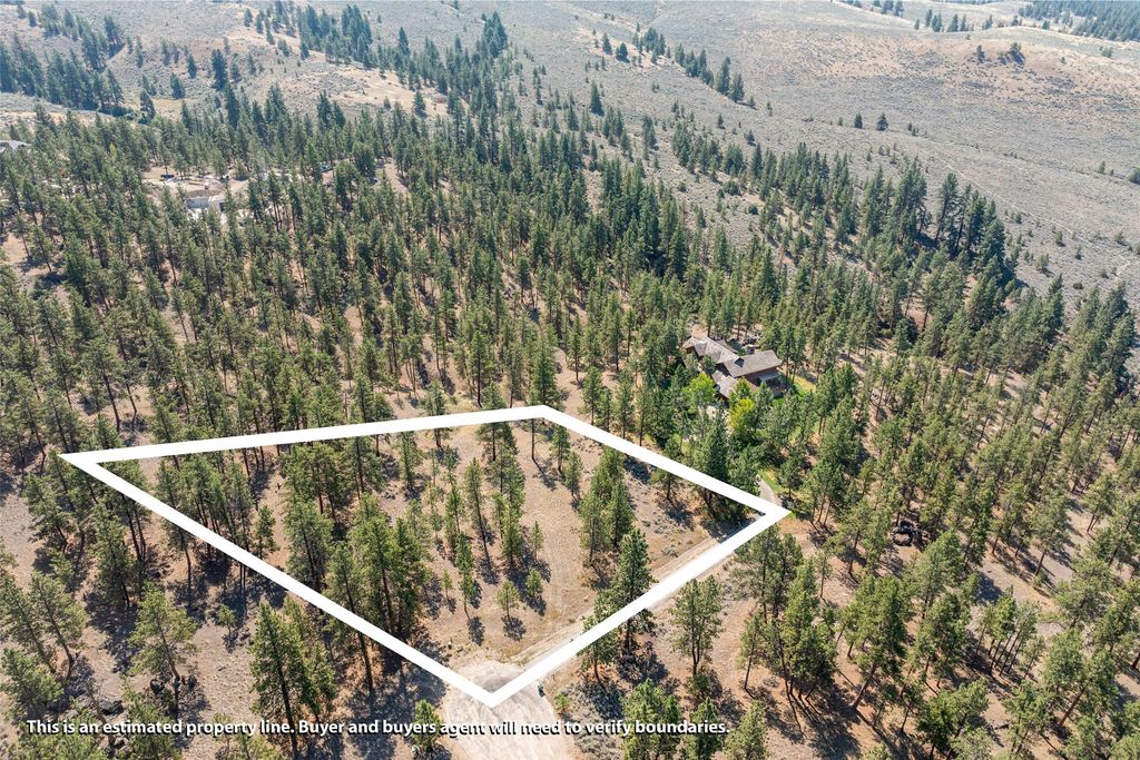 589 and lot 86 Mascot Trail, Hamilton, MT 59840 photo 63