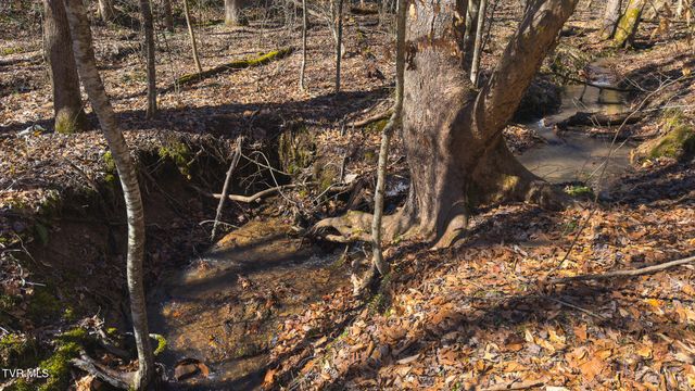 179 Sutton Hollow Road, Sneedville, TN 37869