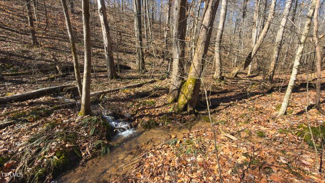 179 Sutton Hollow Road, Sneedville, TN 37869