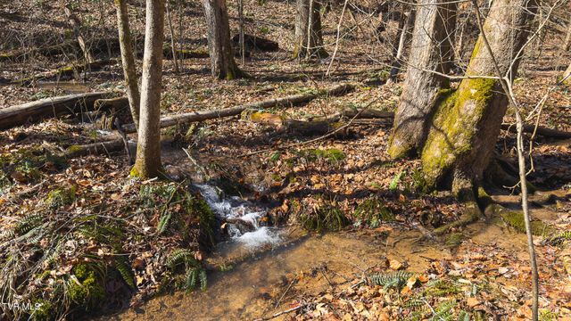 179 Sutton Hollow Road, Sneedville, TN 37869