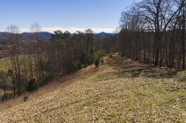179 Sutton Hollow Road, Sneedville, TN 37869
