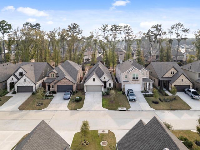 7438 Cattail Falls Lane, Porter, TX 77365