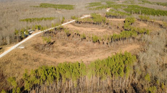 45 Saddleback Dr, Dover, TN 37058